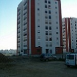 PaluoVI1